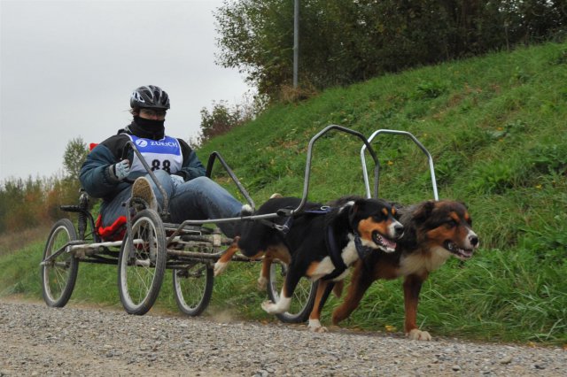 Rennen Weinfelden